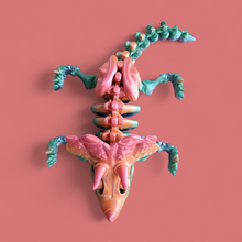 Load image into Gallery viewer, Rainbow Dino Skeleton Toy – Colorful Triceratops-Inspired Figure